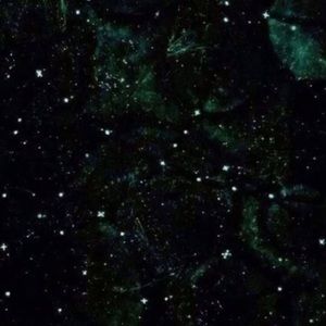 Meet your Posher, Katelyn